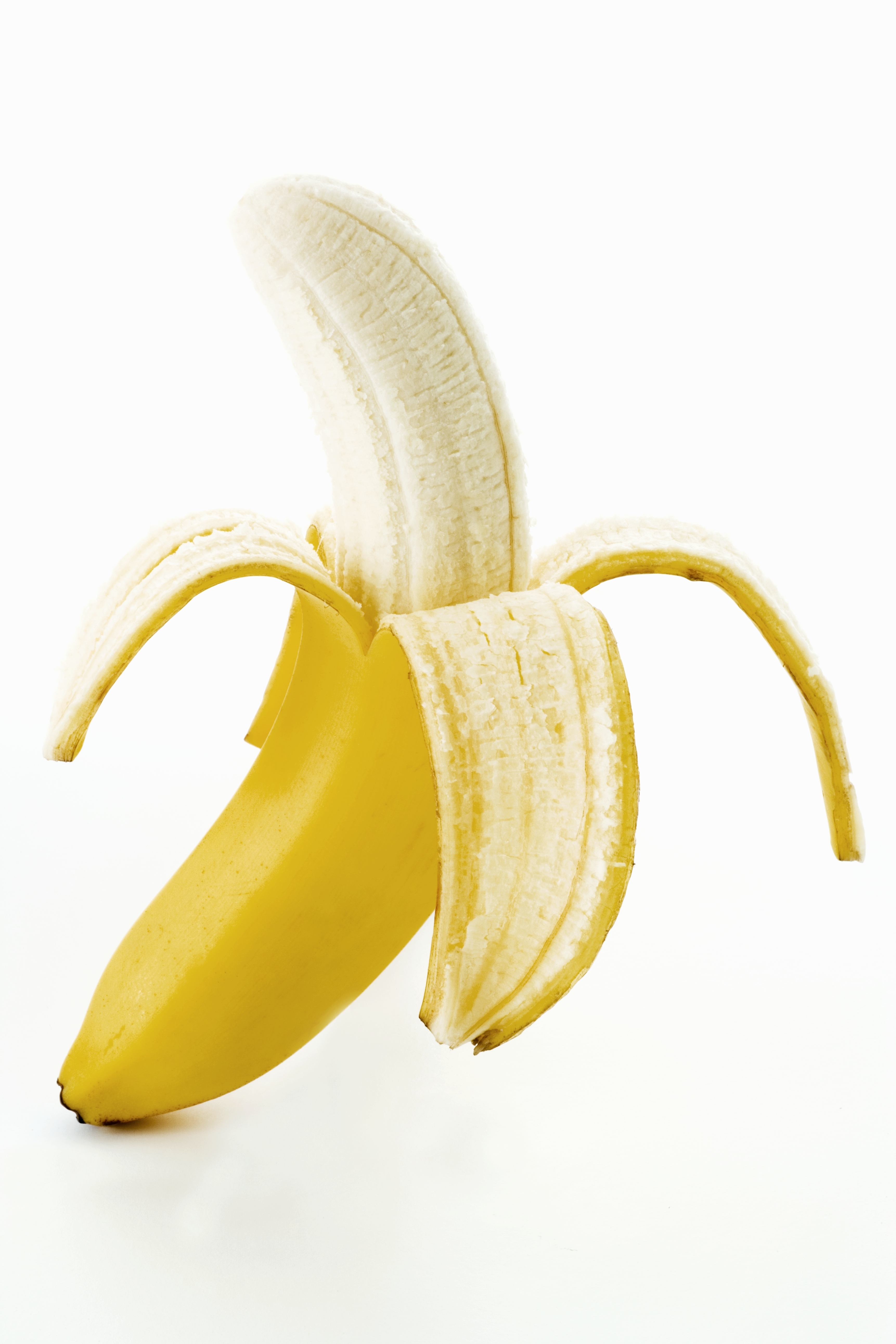 How To Say Penis In Spanish Slang Words For Penis In Spanish