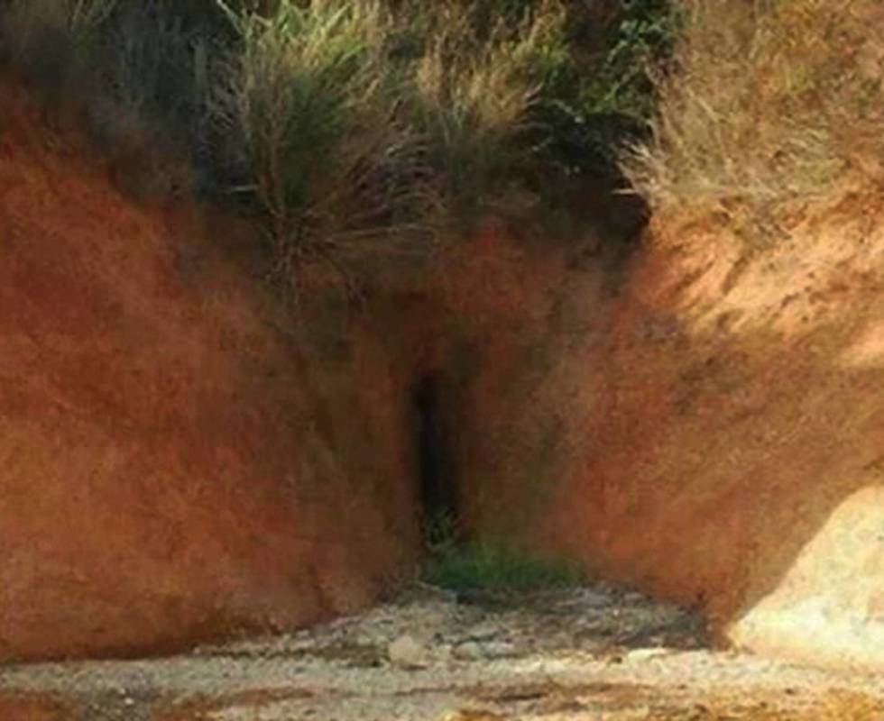 Résultat de recherche d'images pour "biri ayıp mı dedi"