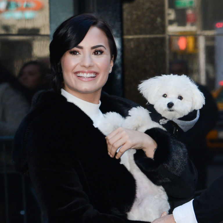 Dating ein mädchen mit einem hund