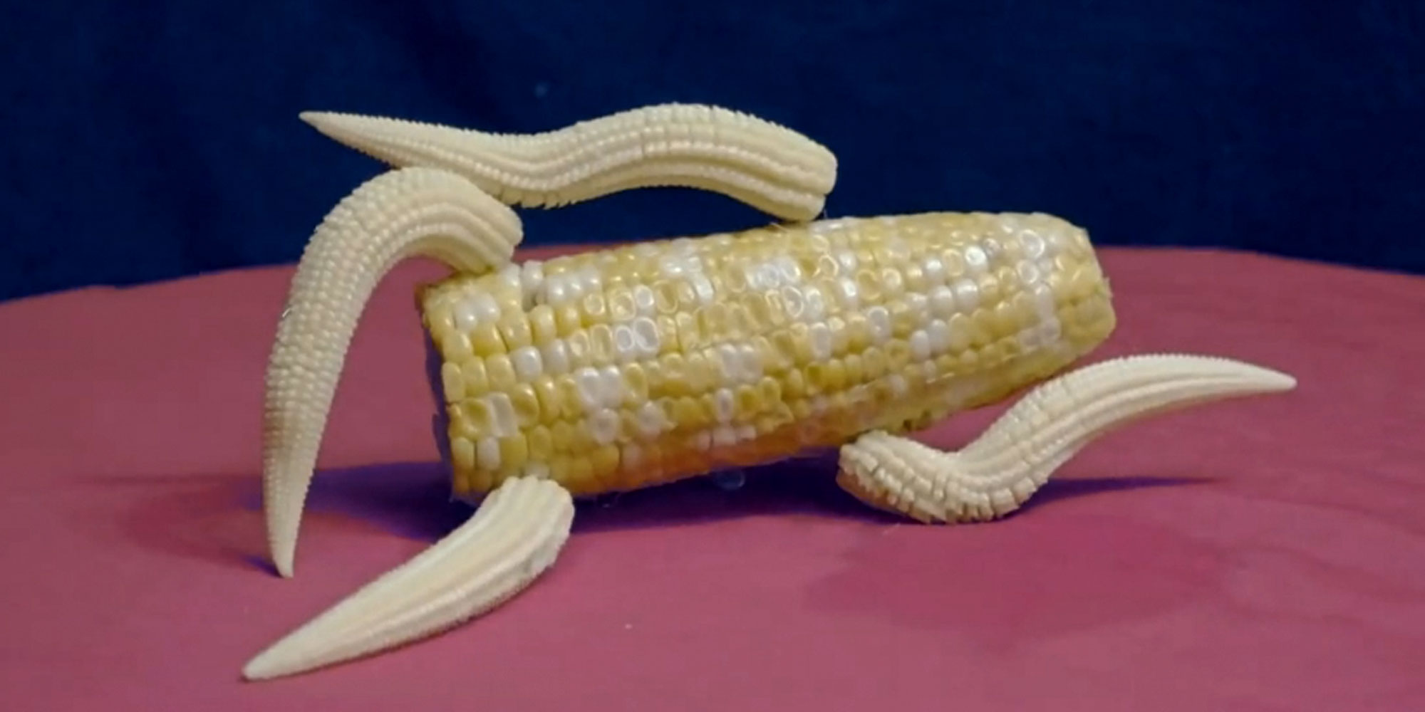 Cornhub Cornhub Aria Slobs On The Cob YouTube