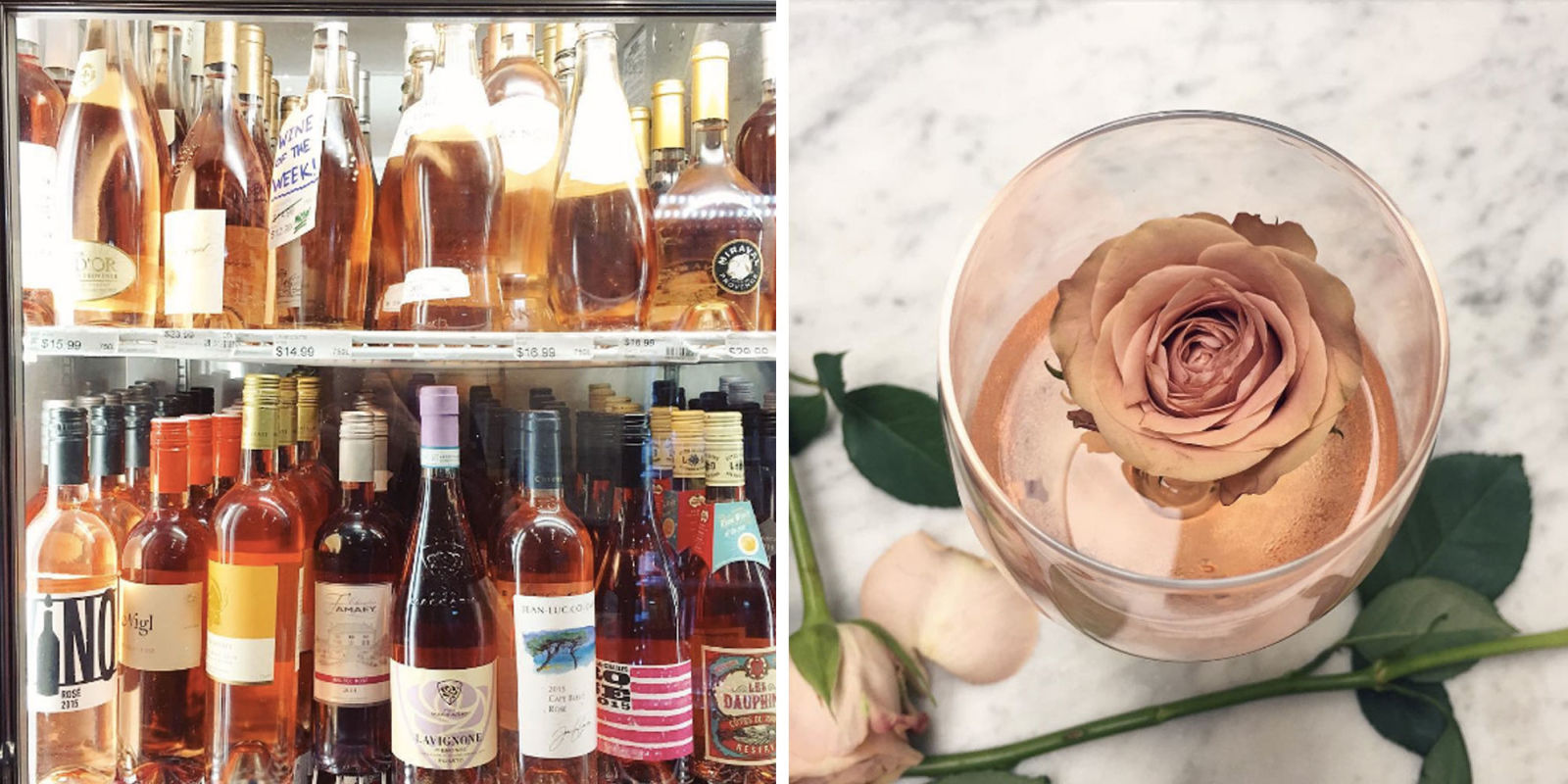 Best Rose Wine Brands Why You Should Drink Rose Wine