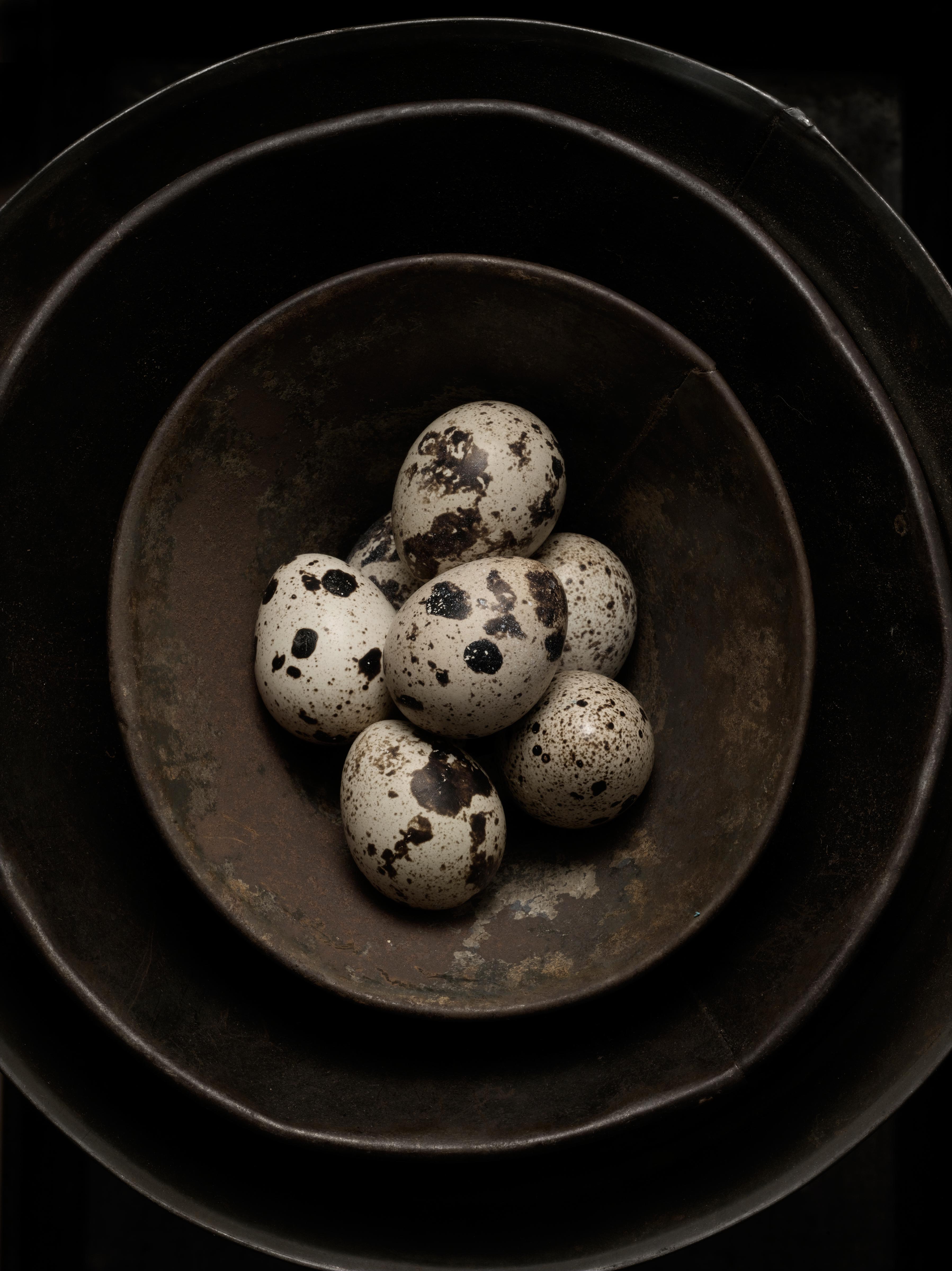 speckled-eggs.jpg