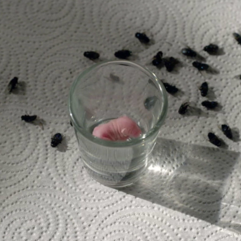 Orange Is the New Black Interview With Diane Guerrero - Season 4